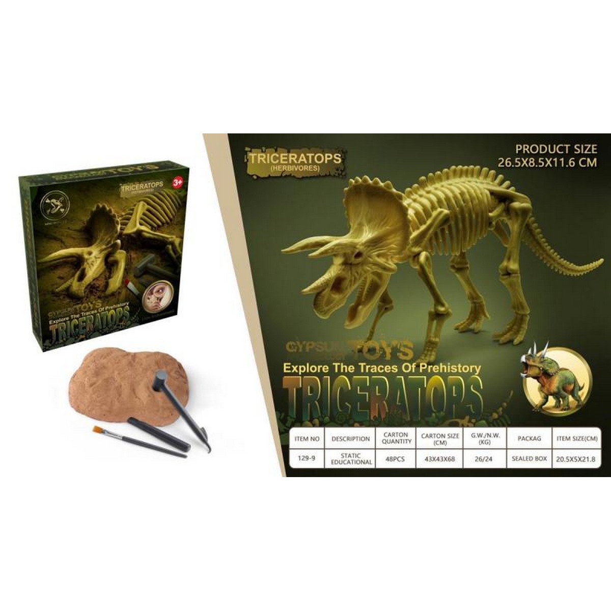 Kit dell' Archeologo - Triceratopo