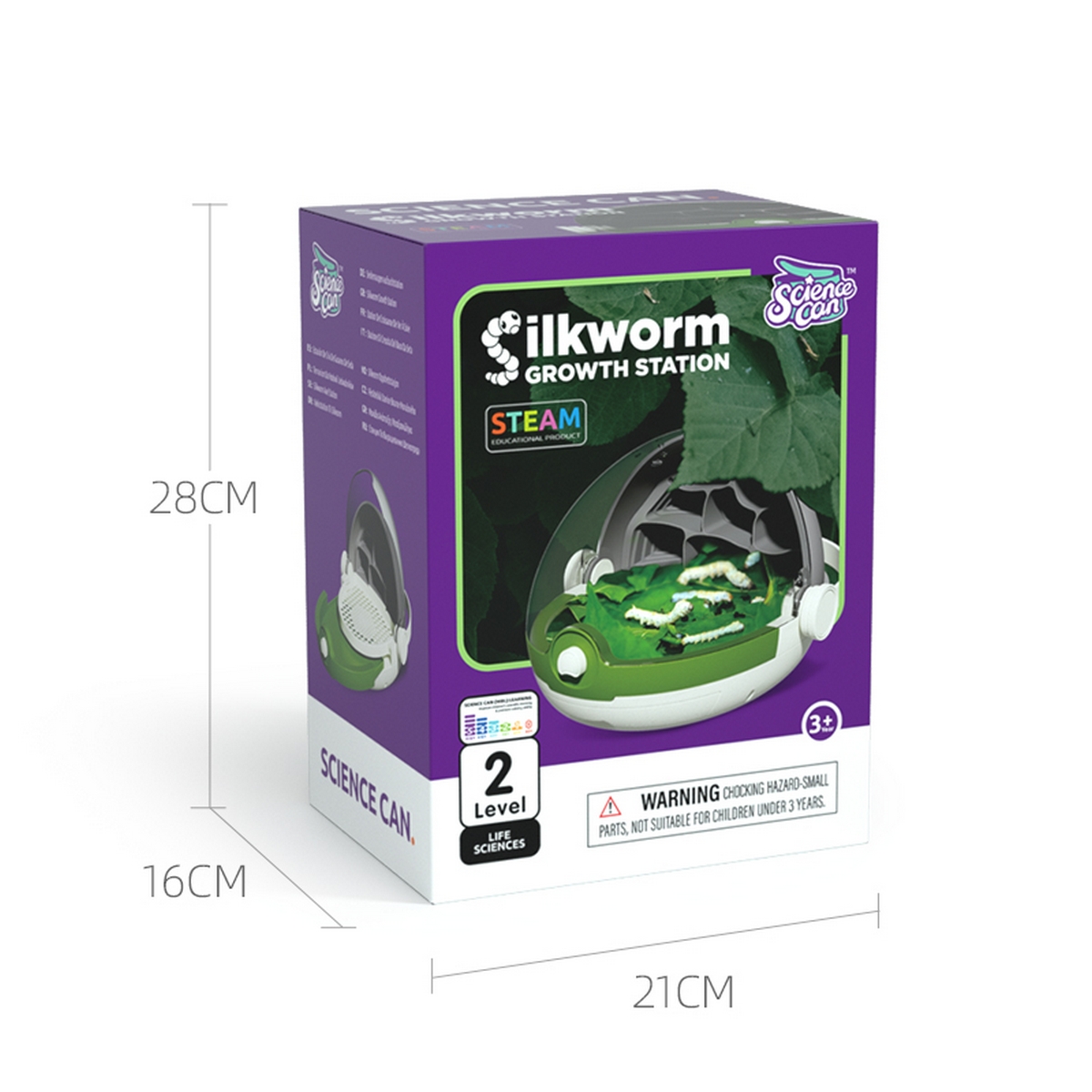 Kit allevamento insetti
