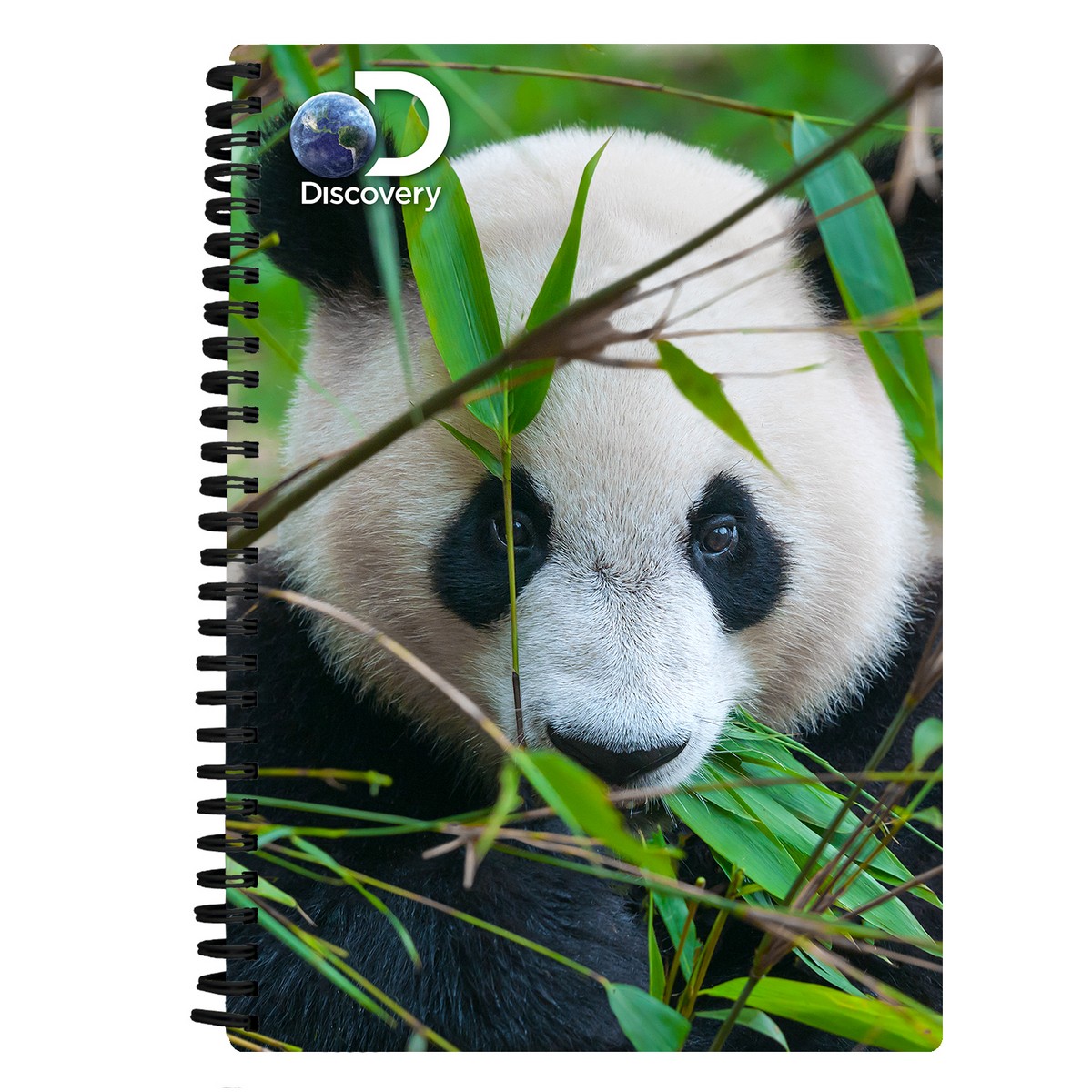 Quaderno A5 - Panda