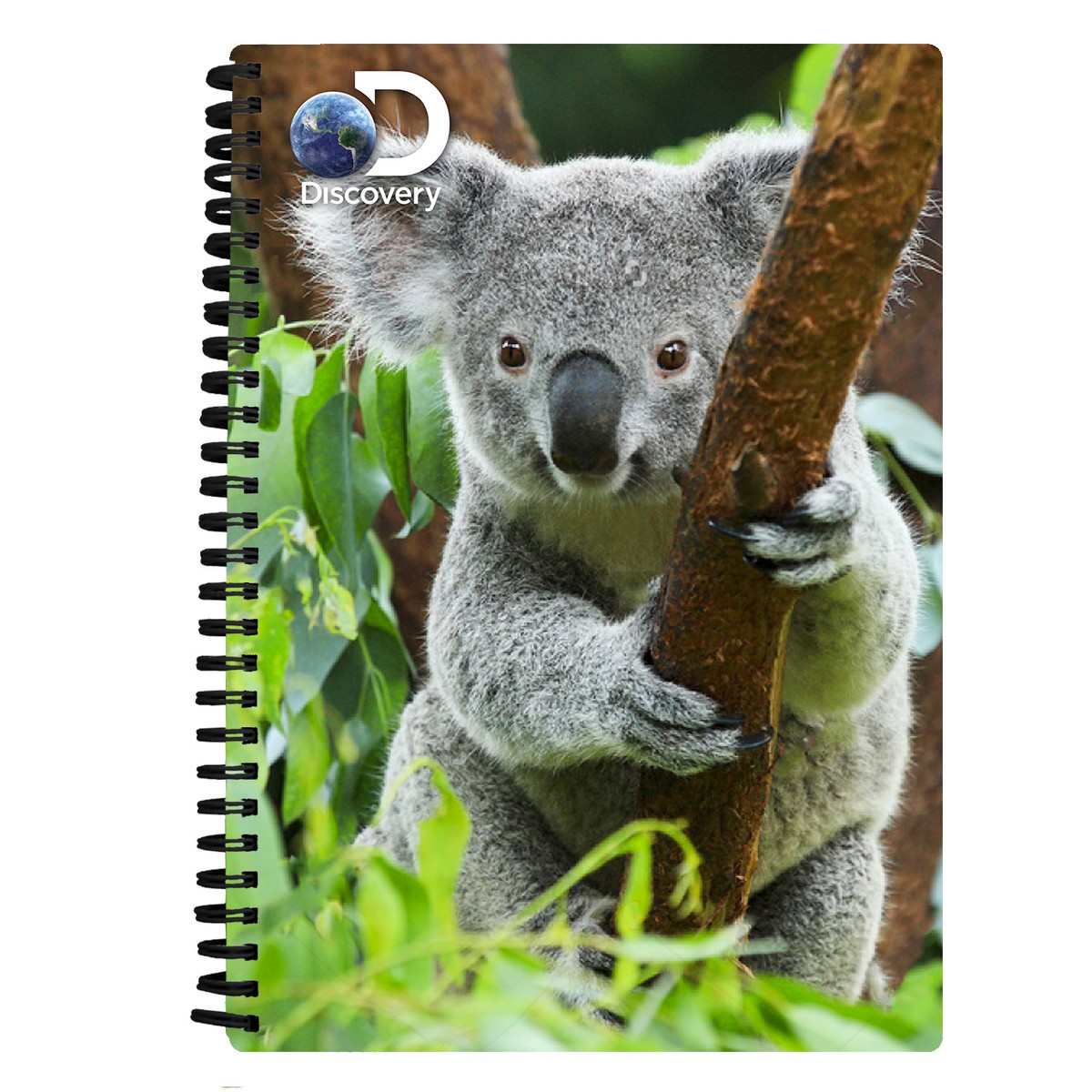 Quaderno A5 - Koala