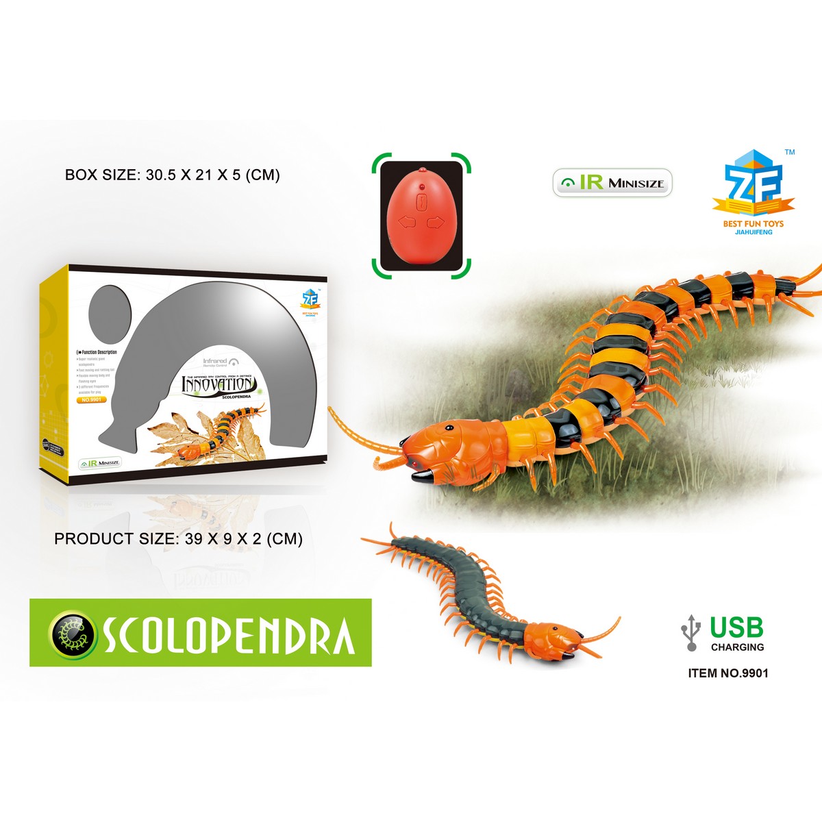 Scolopendra Radiocomandata