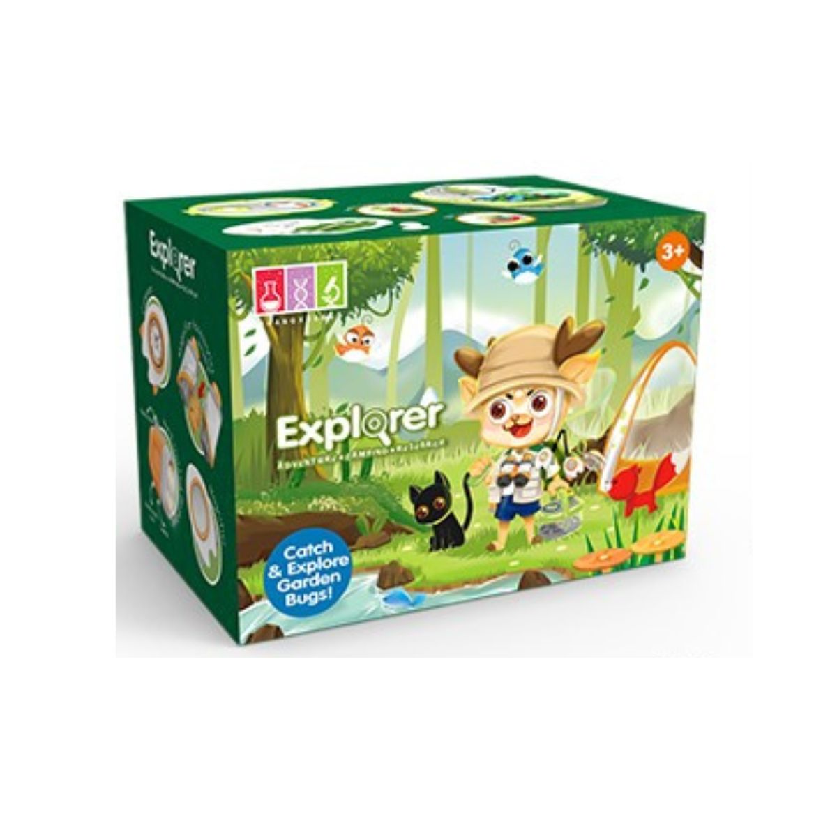 Kit Esplorazione Insetti