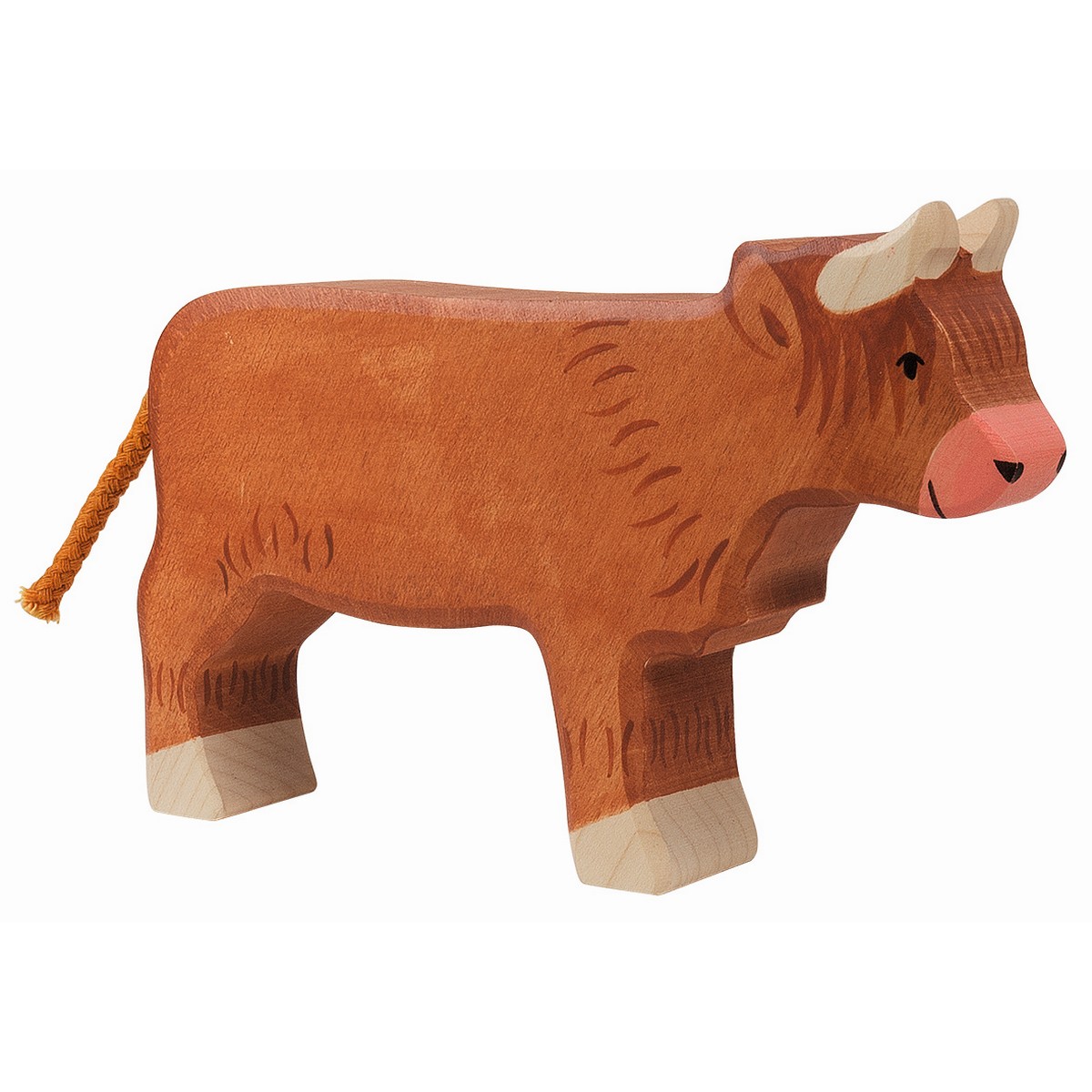 Mucca Higland in piedi