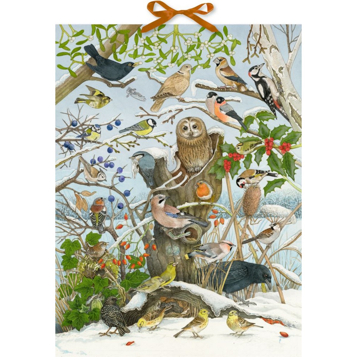 Calendario dell'Avvento Sonoro - Uccellini