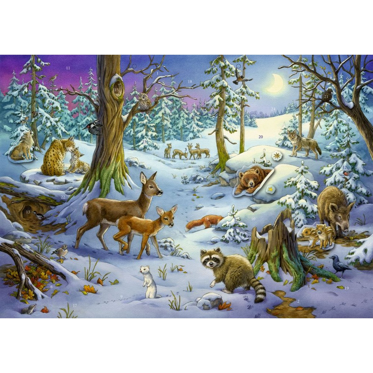 Calendario dell'Avvento - Animali nella Foresta