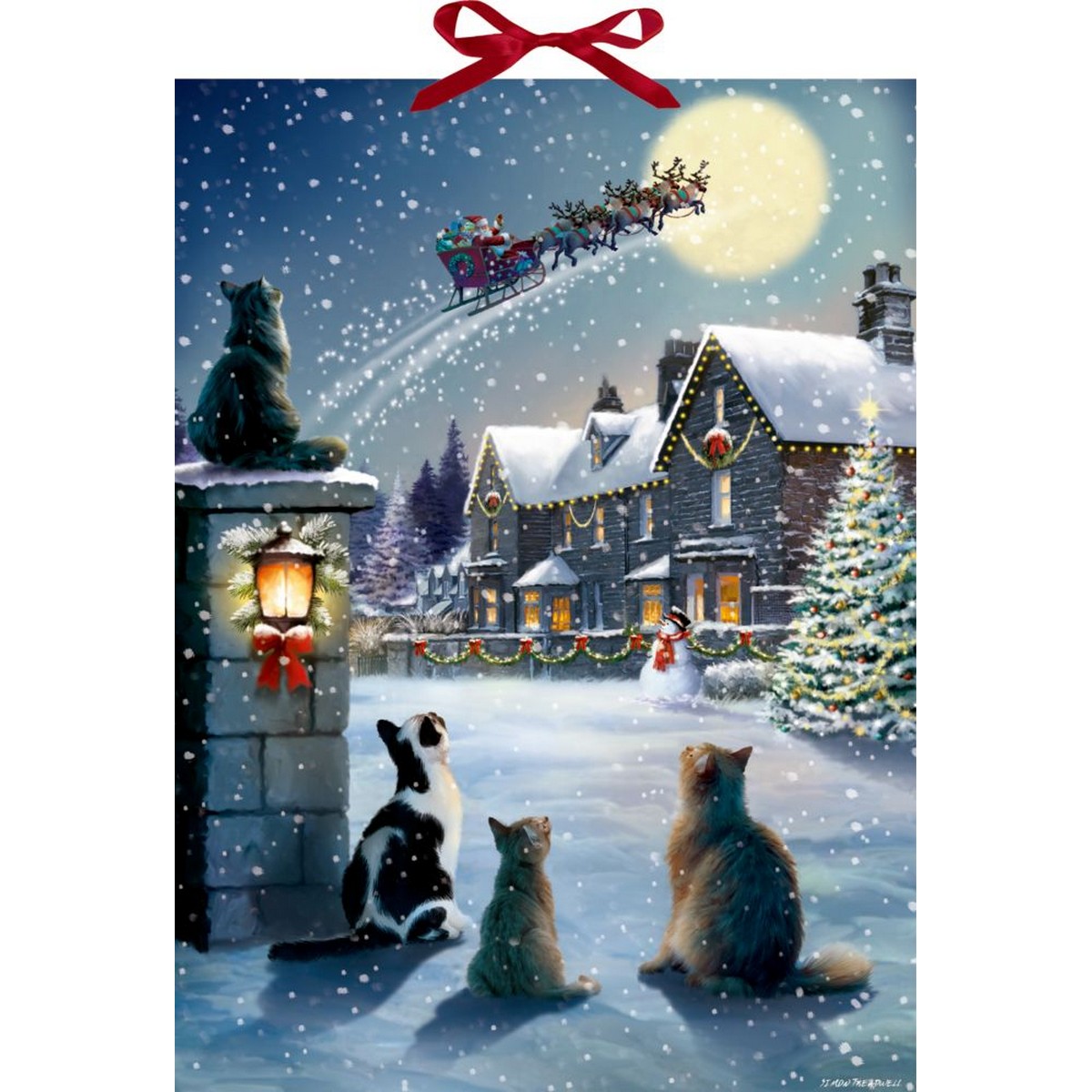 Calendario dell'Avvento - Natale con i Gatti