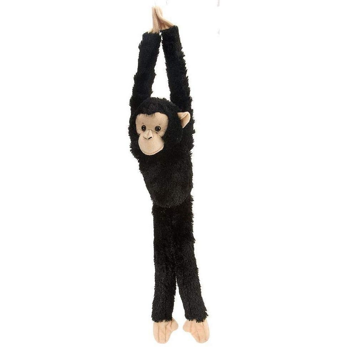 Hanging Monkey - Chimpanzee