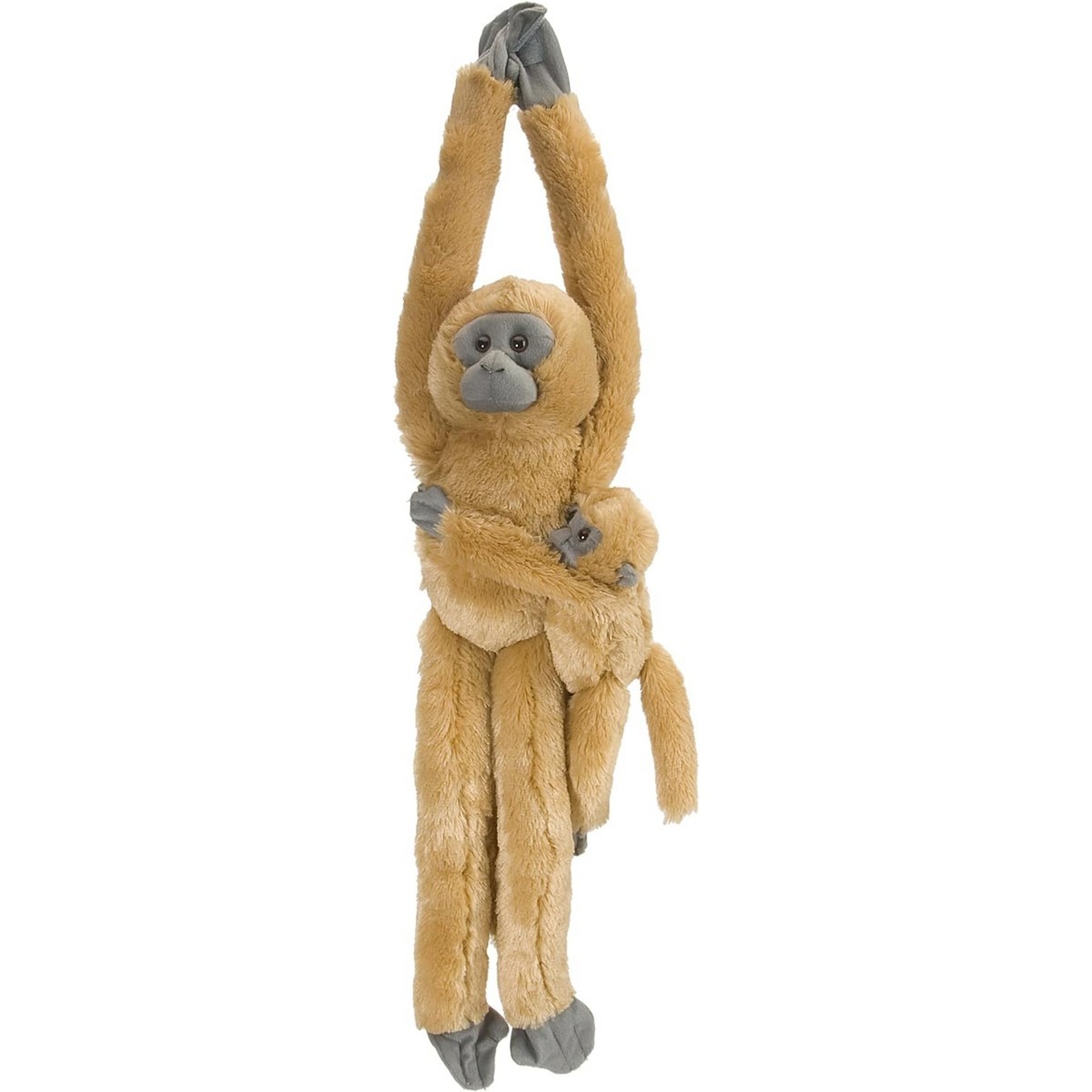 Hanging Monkey - Langur