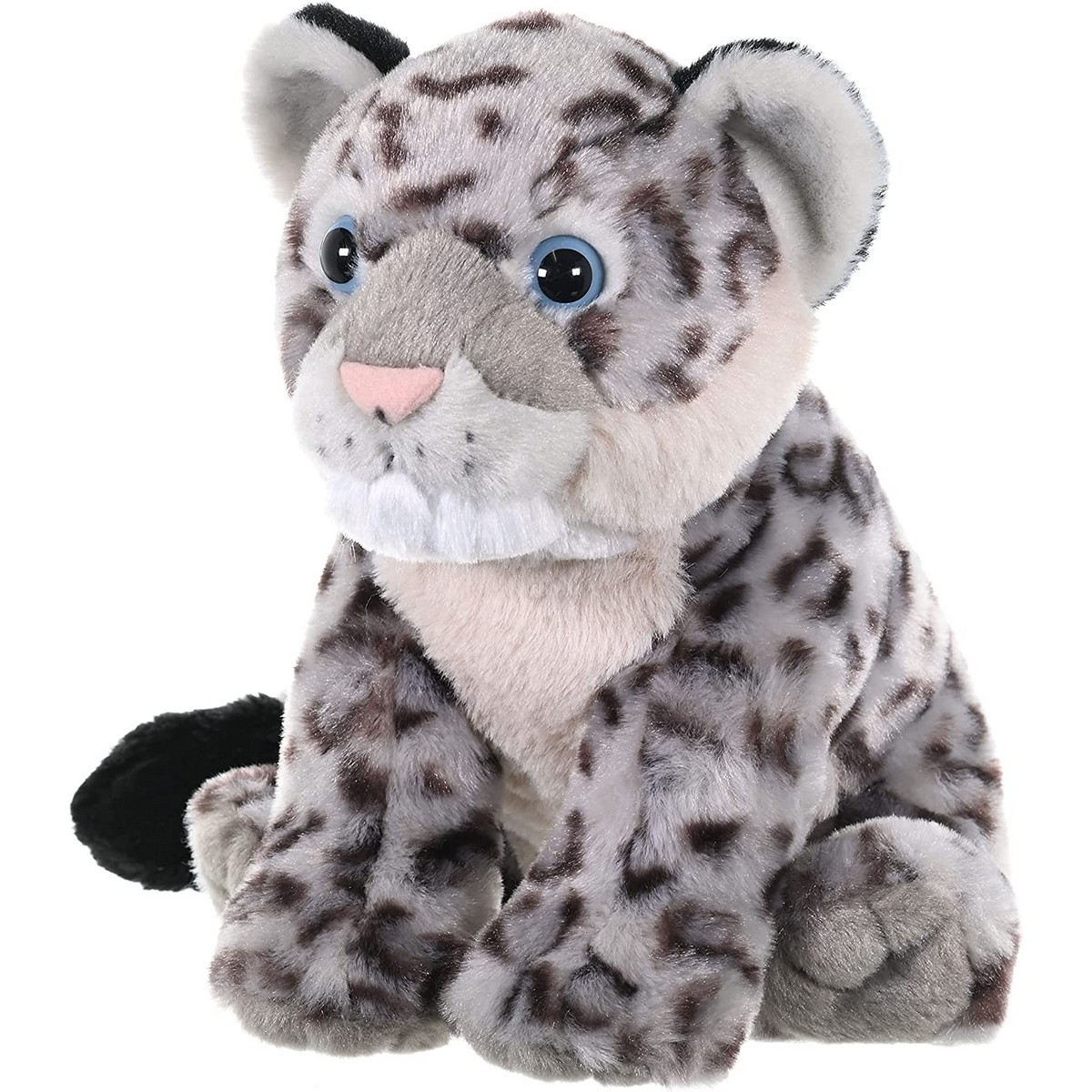 Leopardo delle nevi Cucciolo