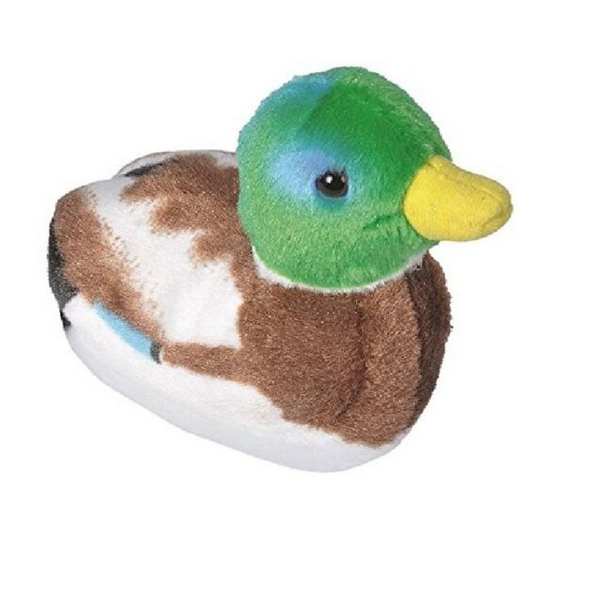 Germano Reale con suono