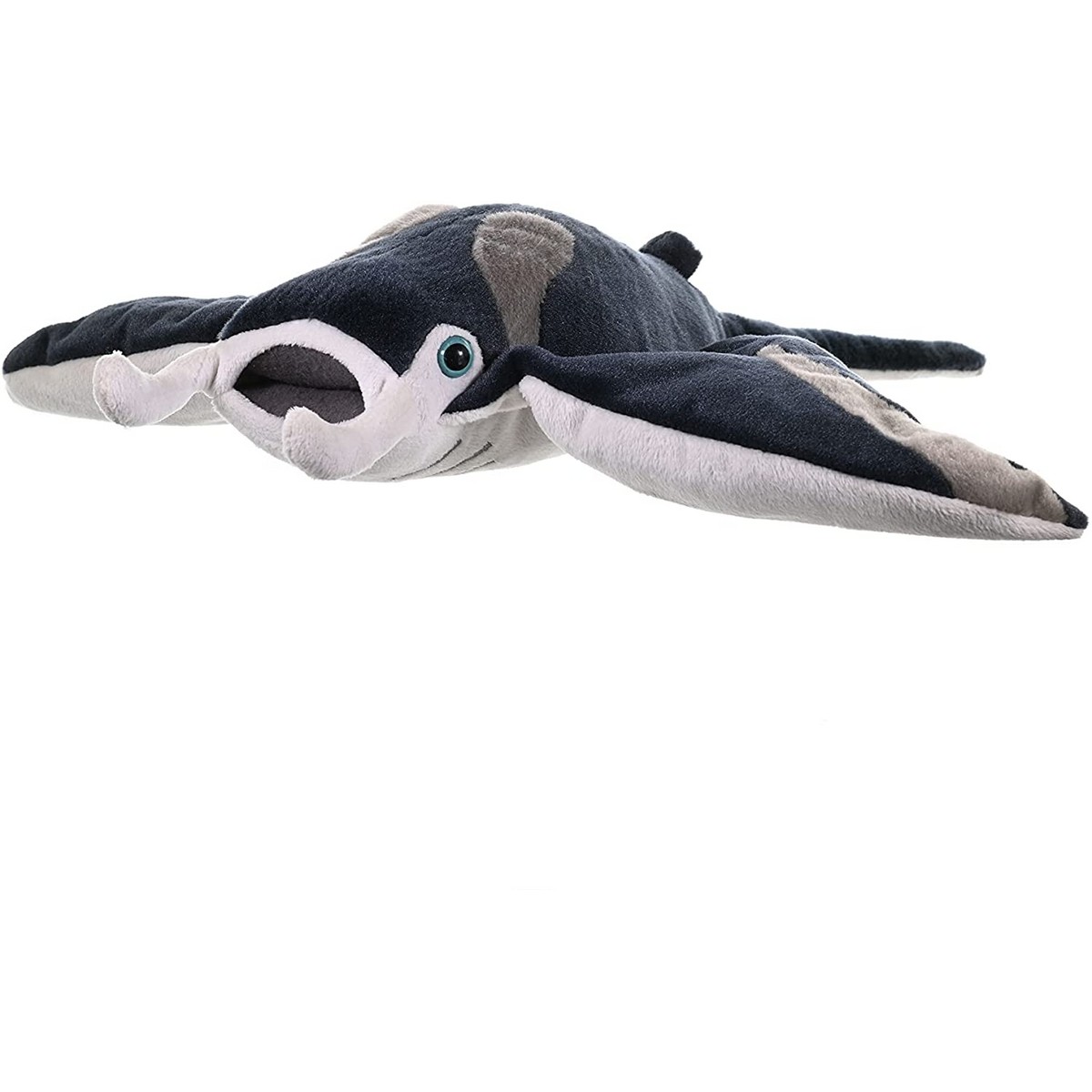 Manta Ray
