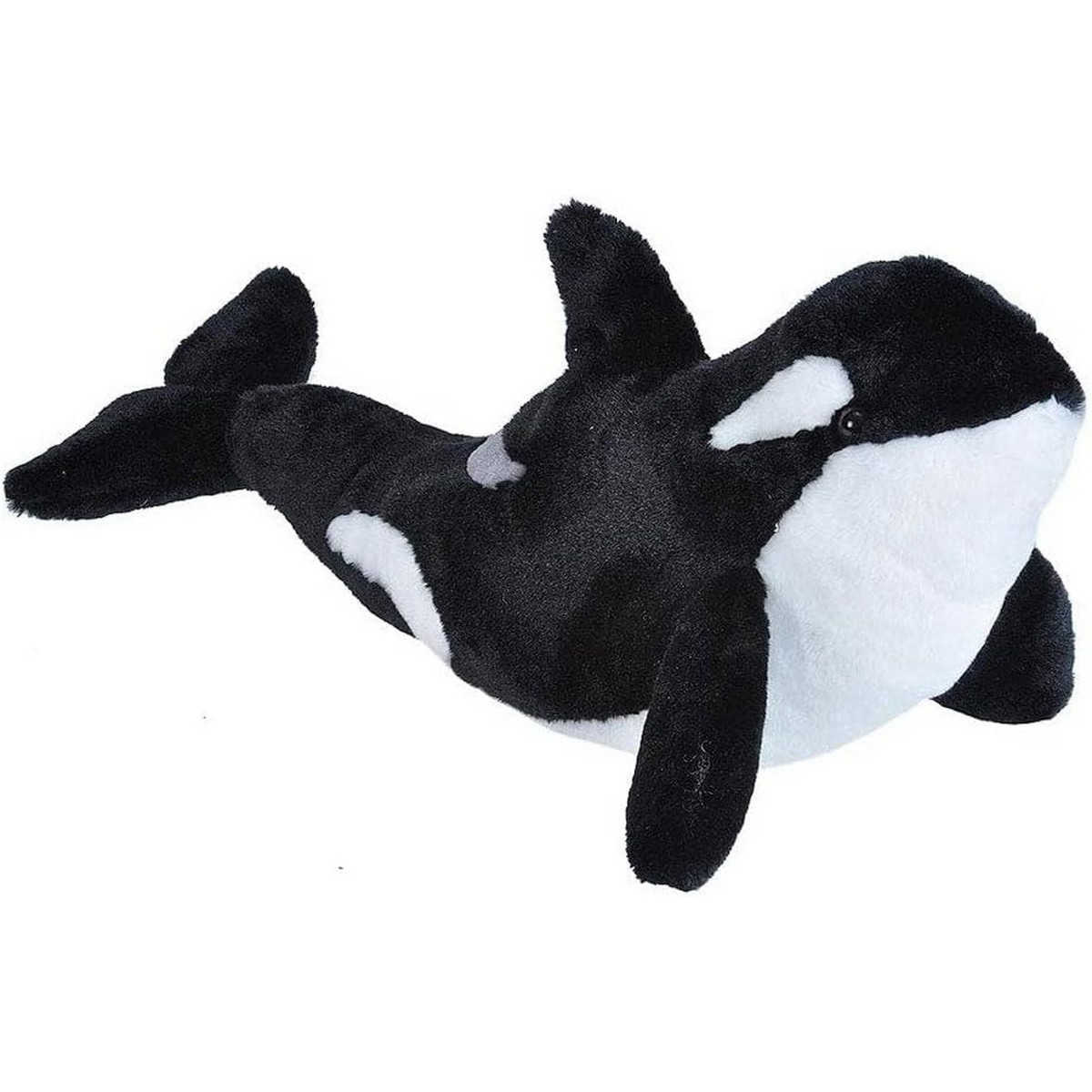 Orca