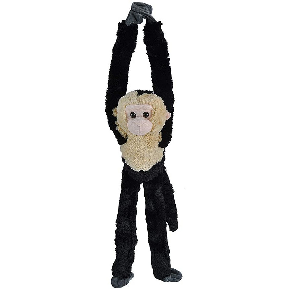 Hanging Monkey - Scimmia Cappuccina
