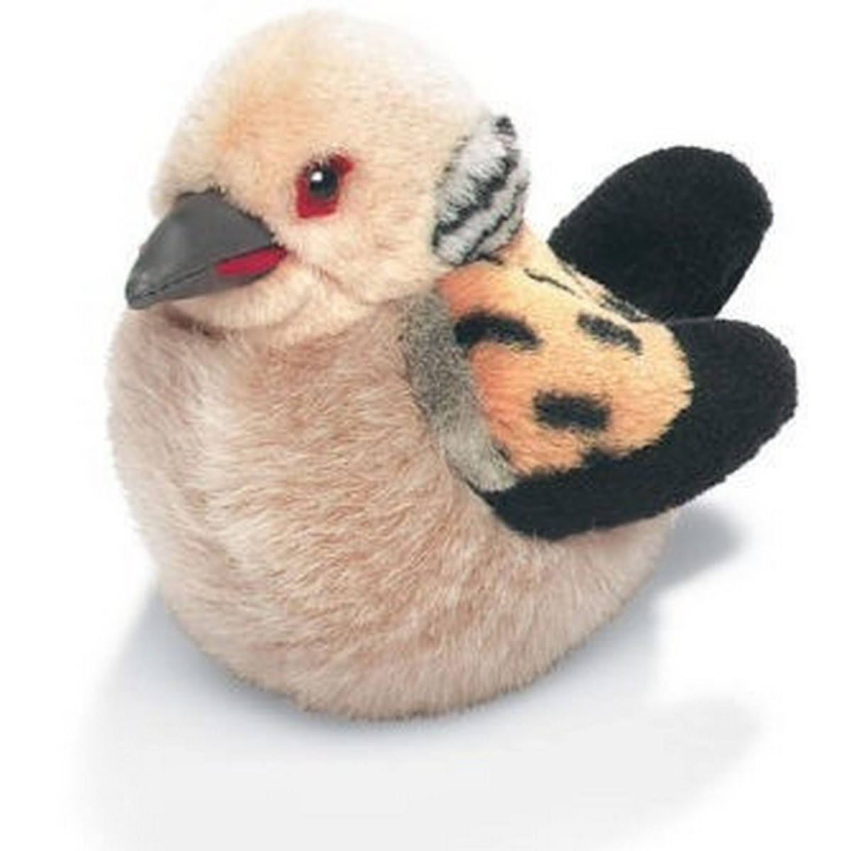 Tortora Selvatica con suono