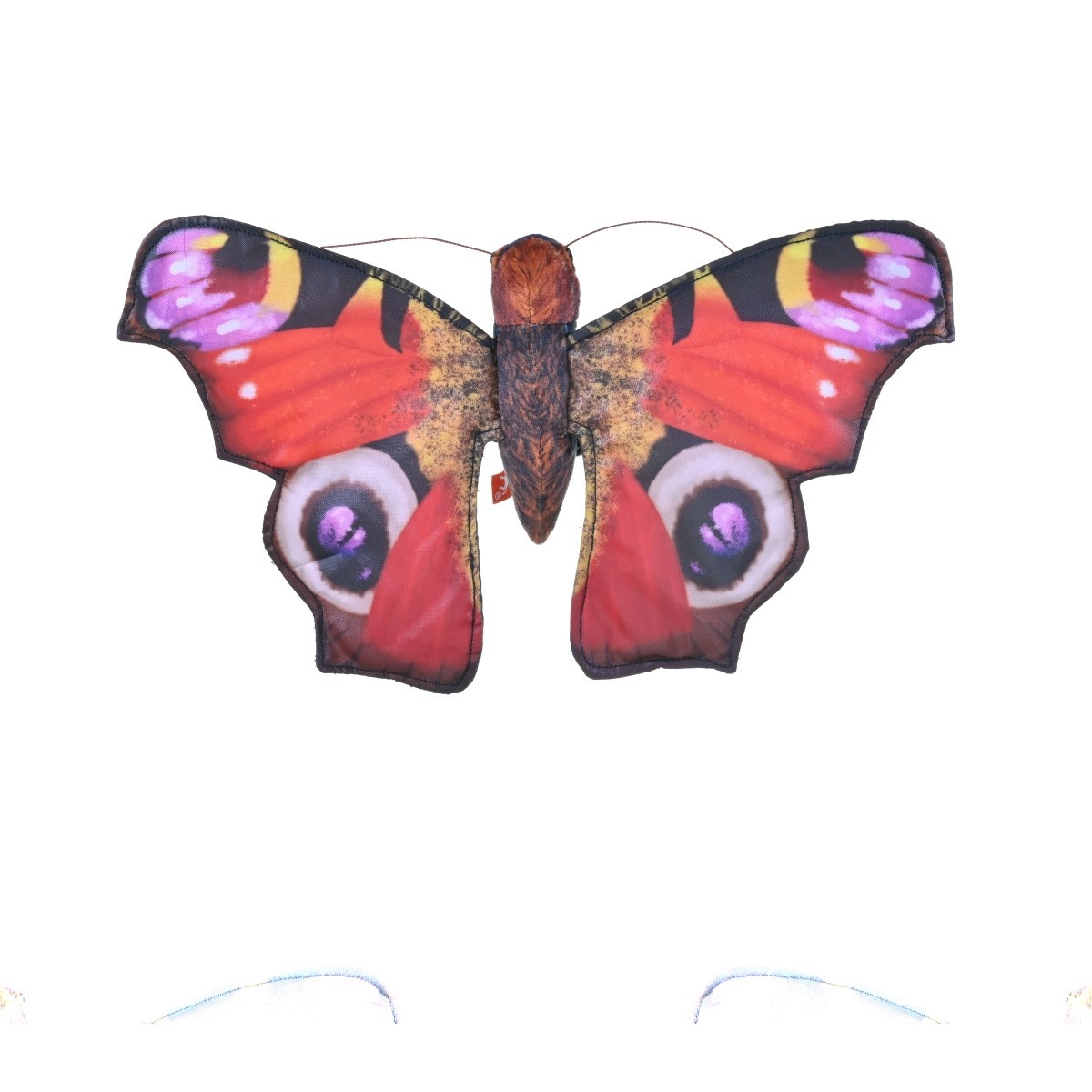 Farfalla Pavone Europea