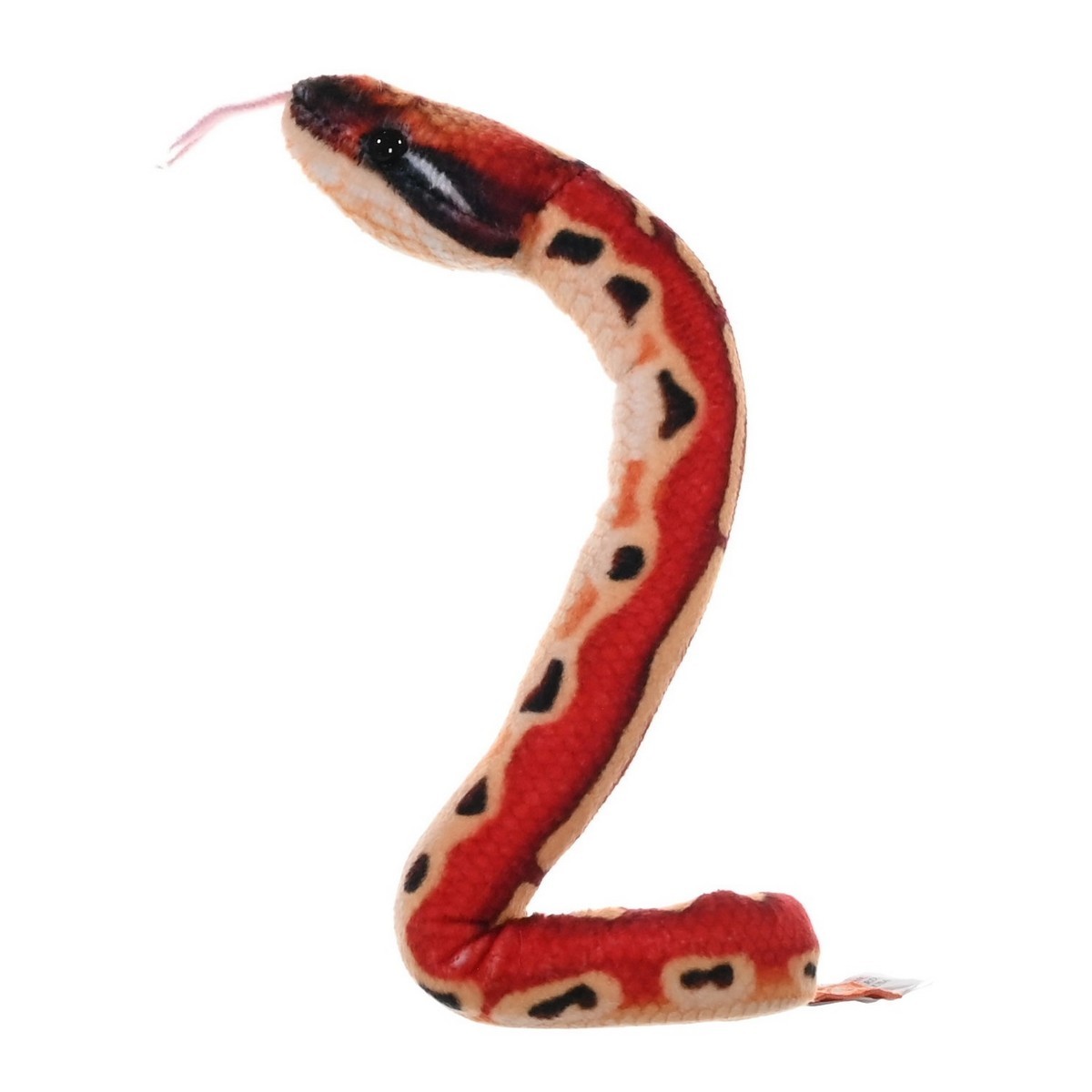 Serpente Coilkins - Pitone