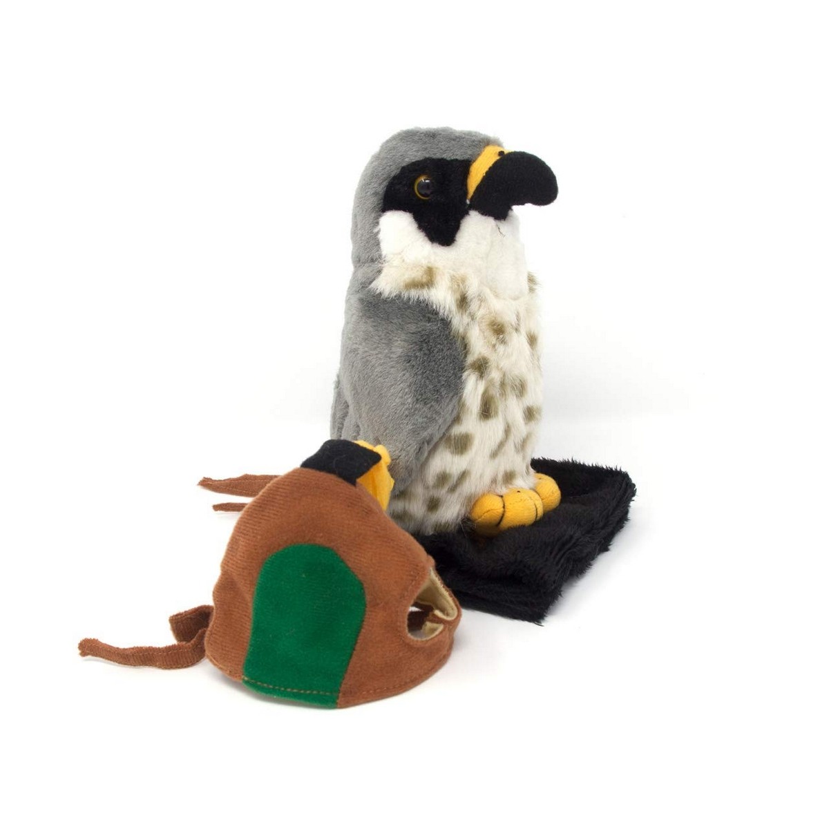 Falco Pellegrino con cappuccio