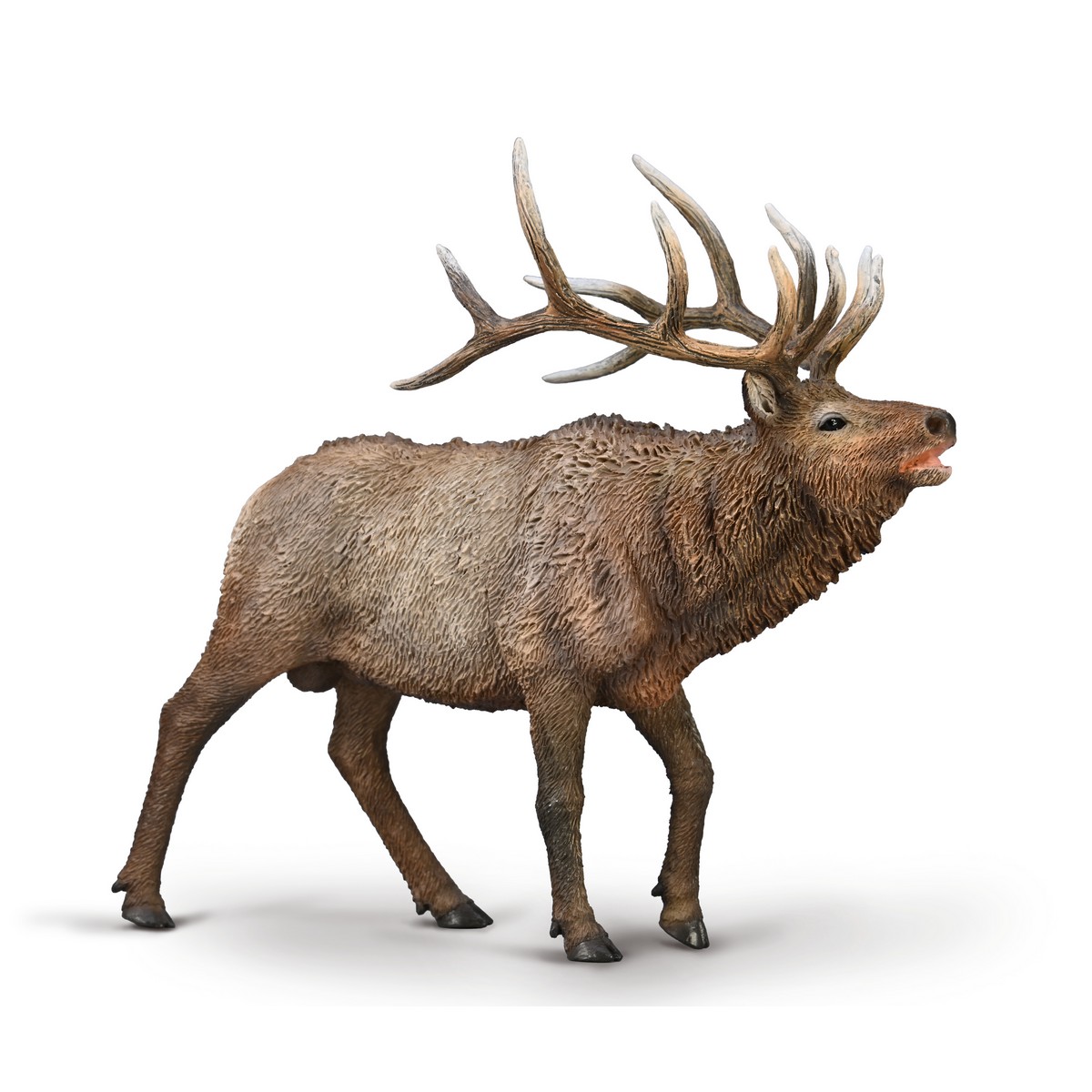 Wapiti