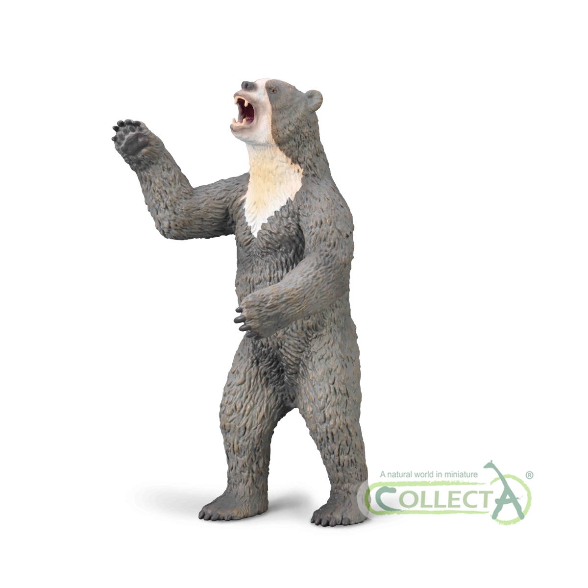 Arctodus - Orso Short-Faced