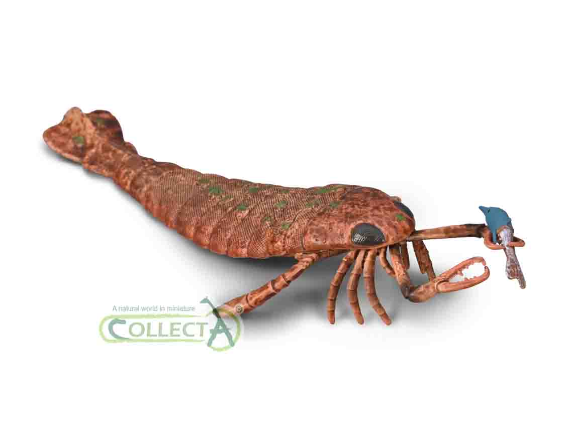 Jaekelopterus con Preda