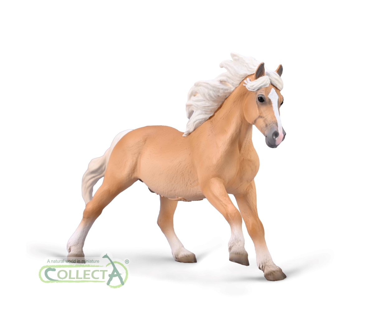 Stallone Haflinger