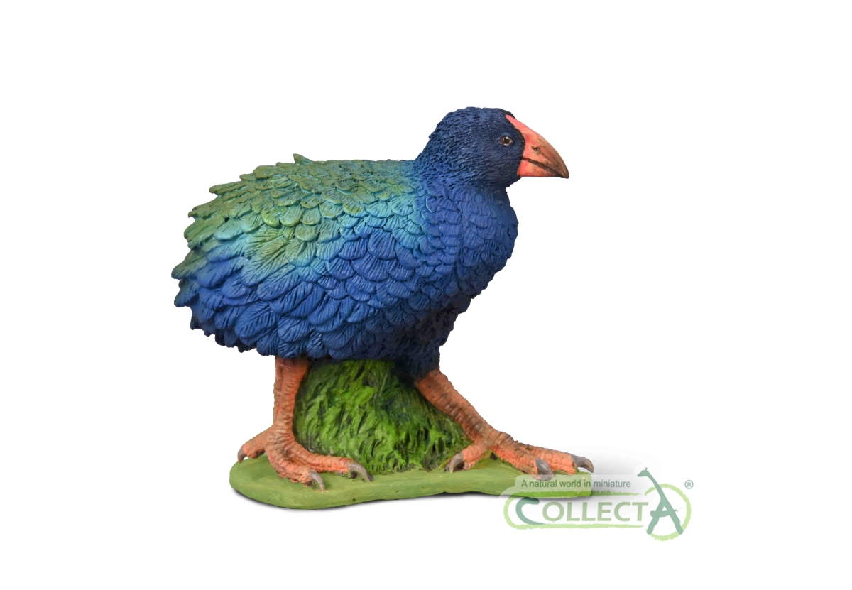 Takahe