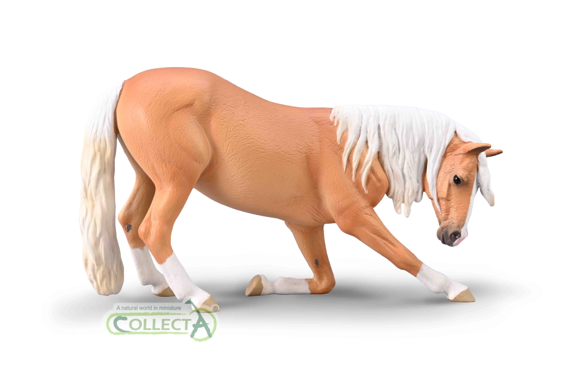 Cavalla Lusitana Palomino