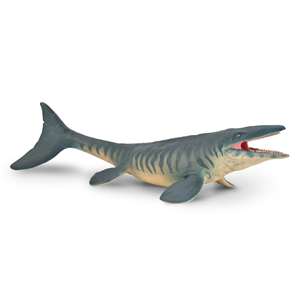 80048.COL Tylosaurus