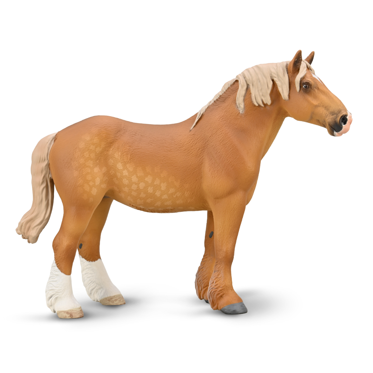 Giumenta Belga Sorrel