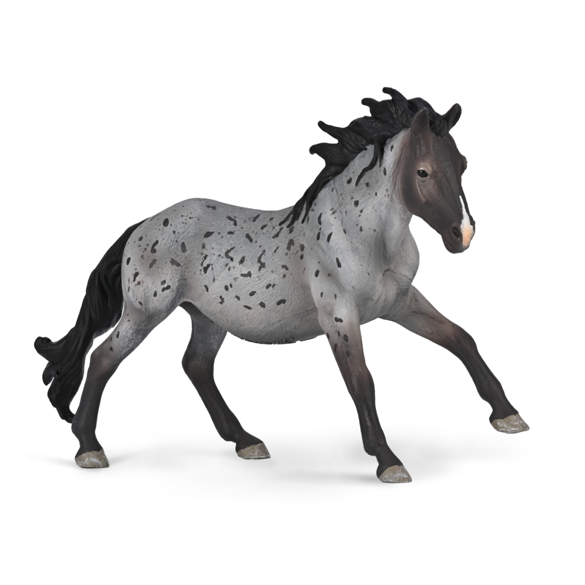 80060.COL Stallone Nokota Blue Roan