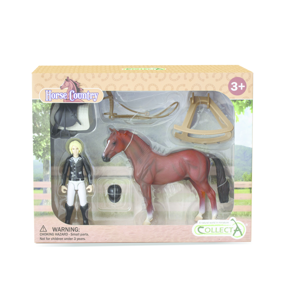 Cavallerizza con Cavallo e Accessori