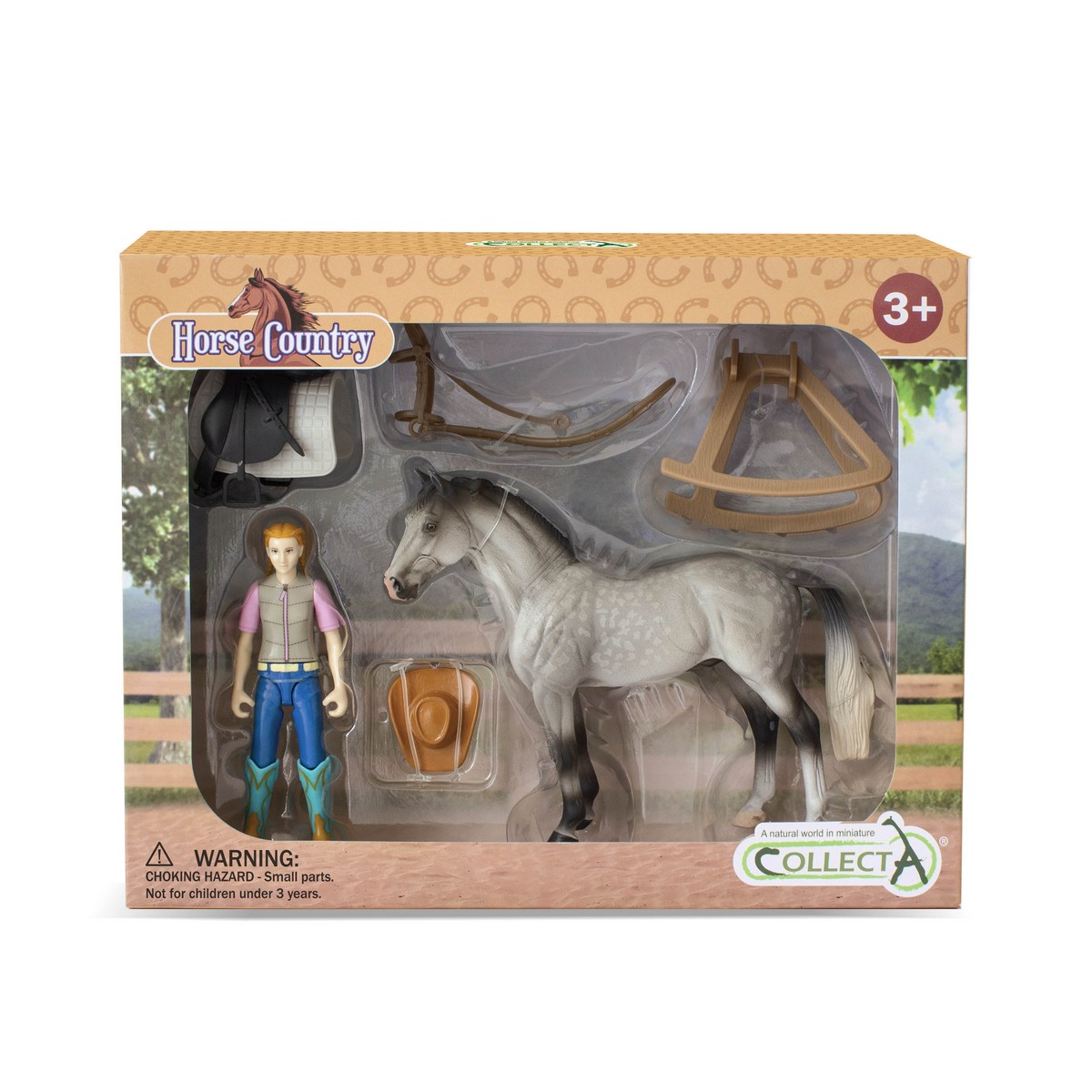 Cavallerizza con Cavallo e Accessori