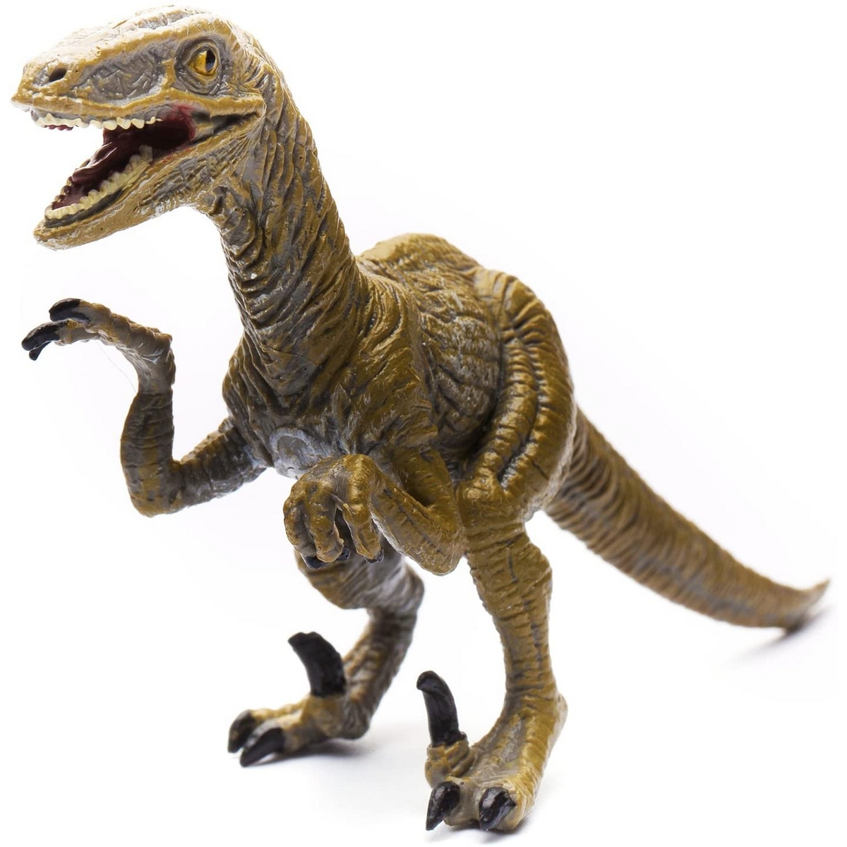 Velociraptor