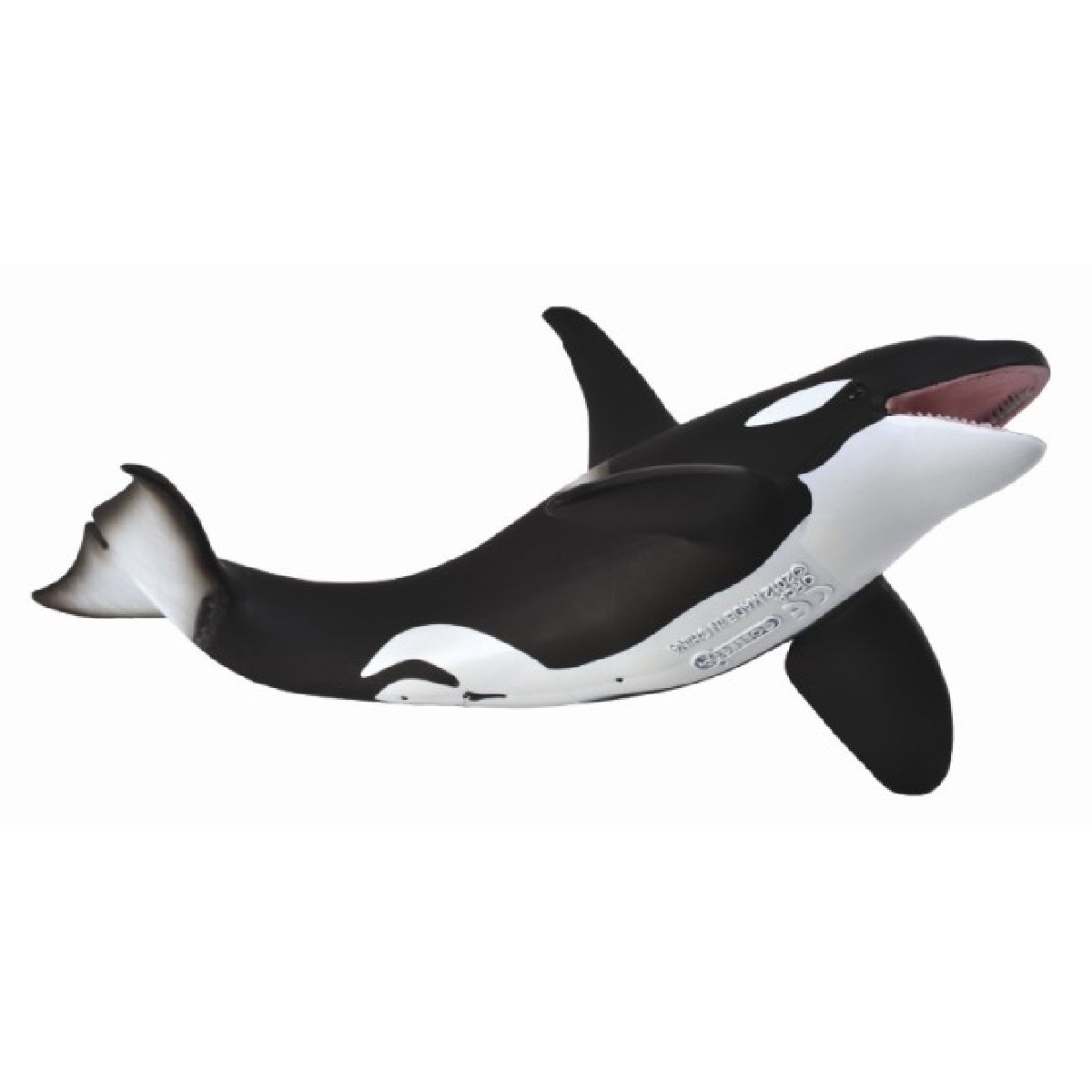 Orca
