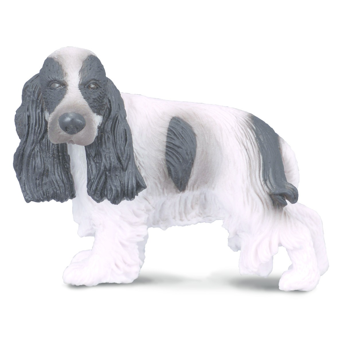 Cocker Spaniel