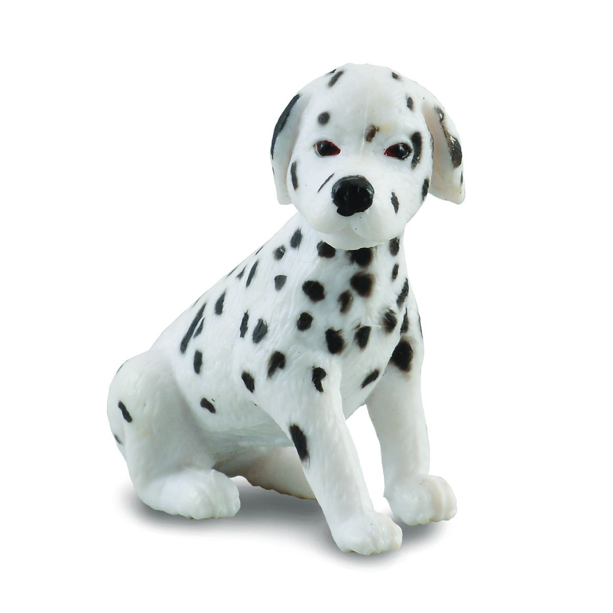 Dalmatian Puppy