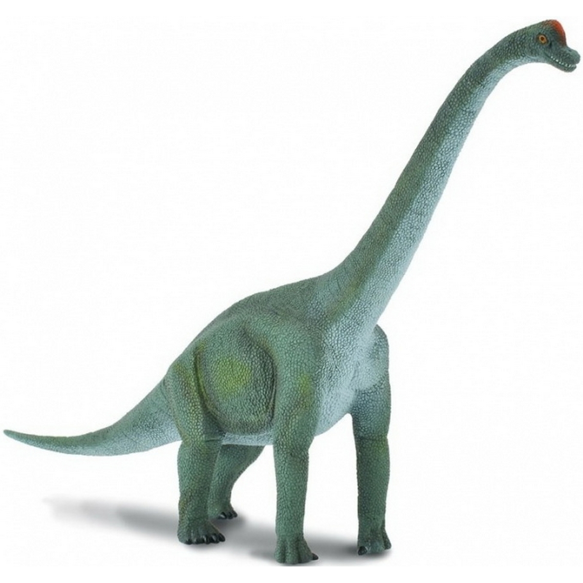 Brachiosaurus