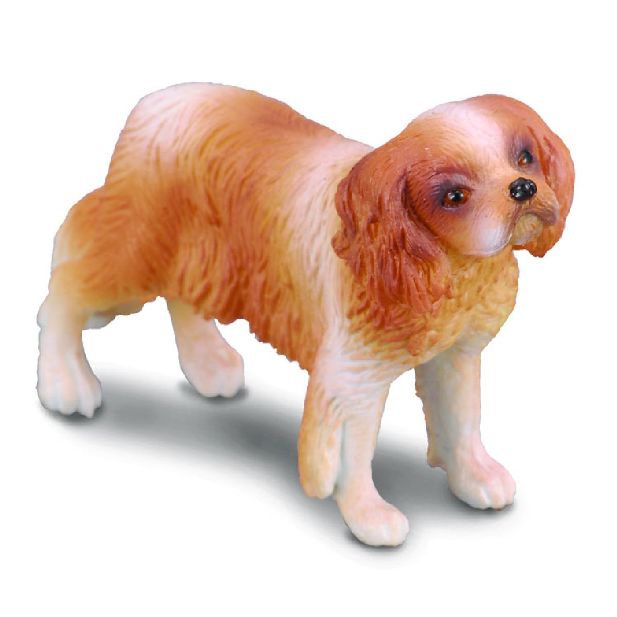 Cavalier King