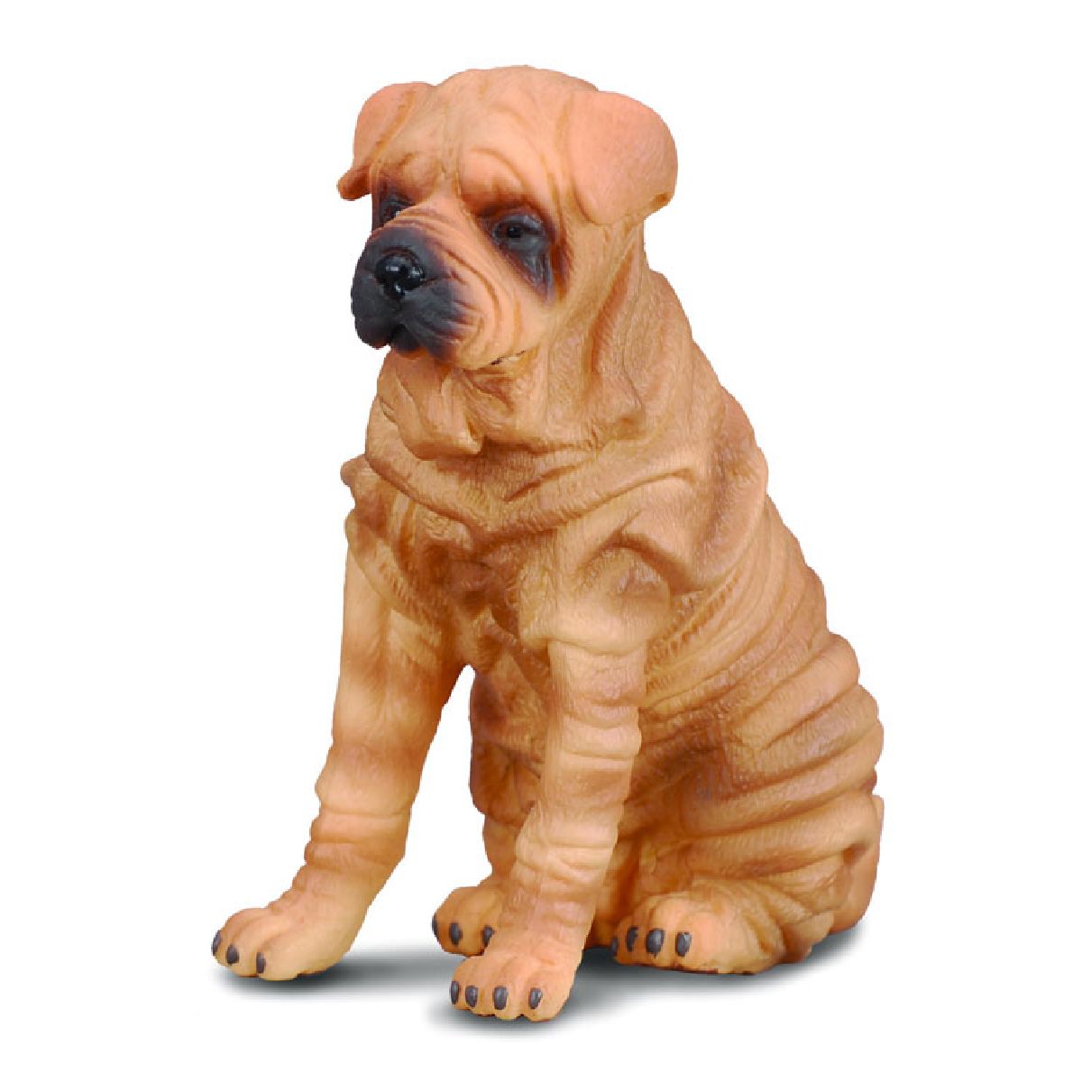 Shar Pei