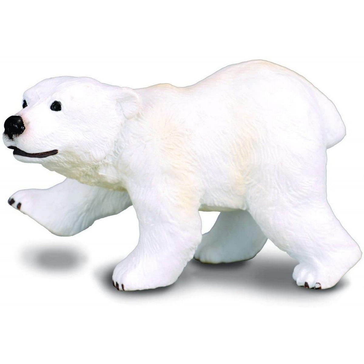 Orso Polare Cucciolo