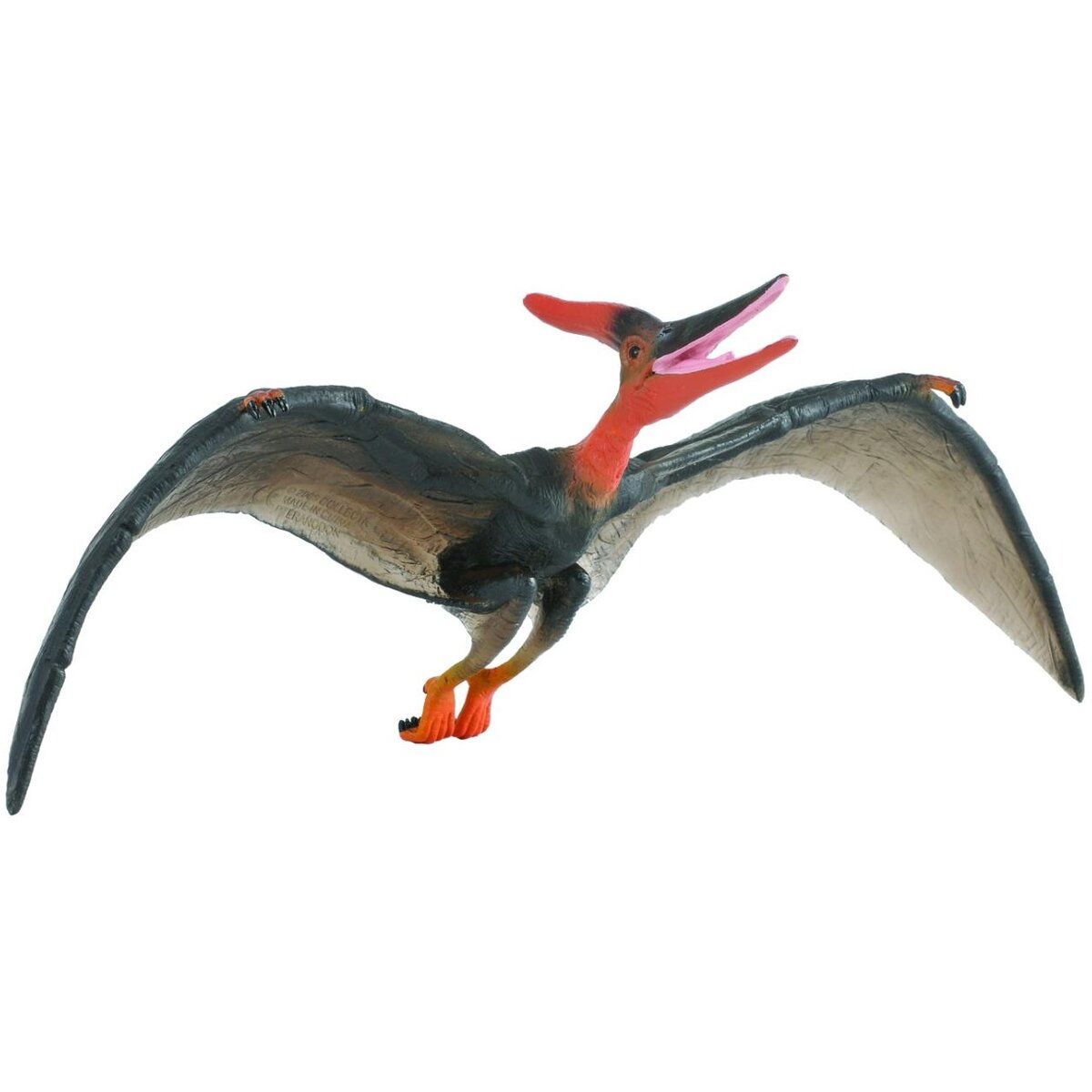 Pteranodonte