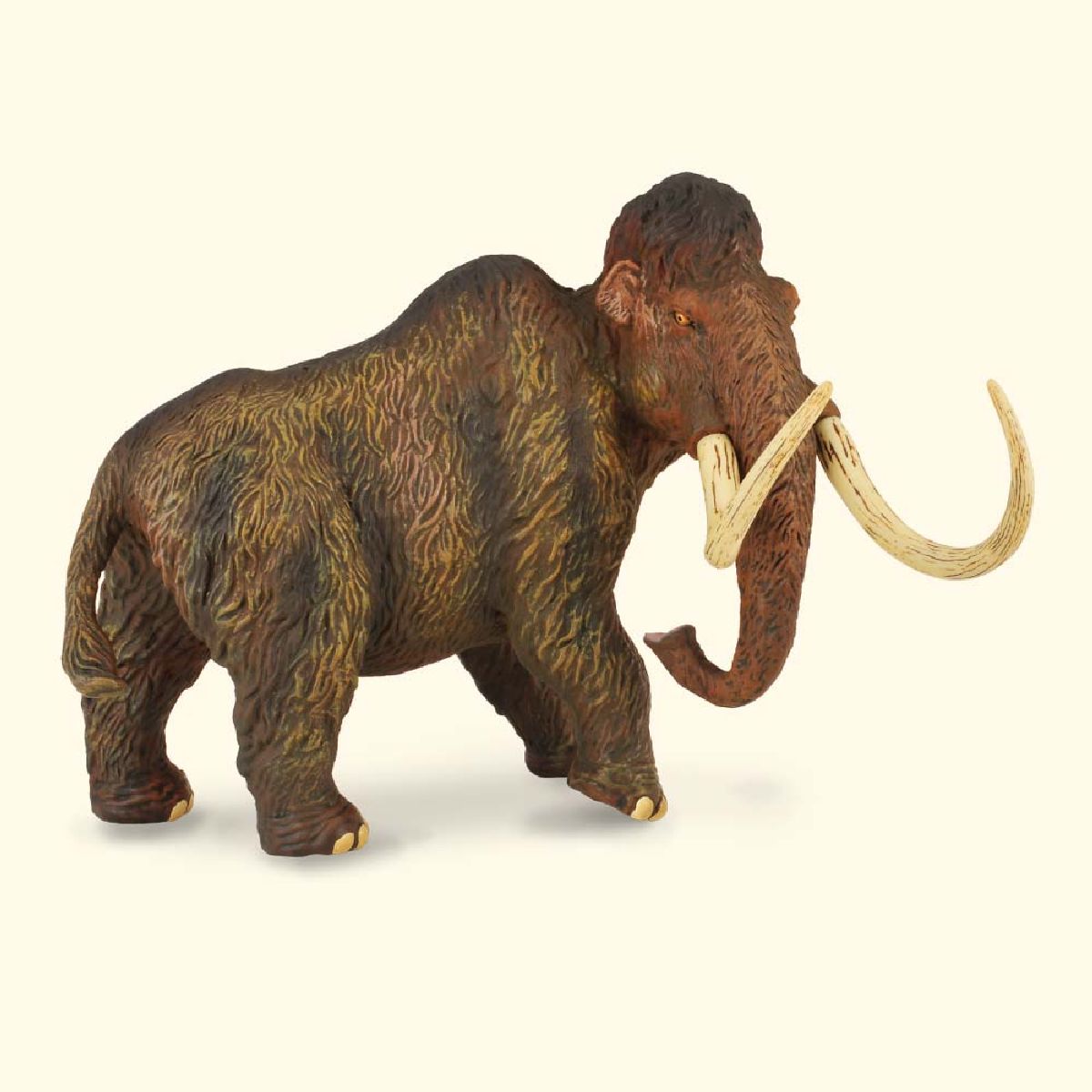 Mammut