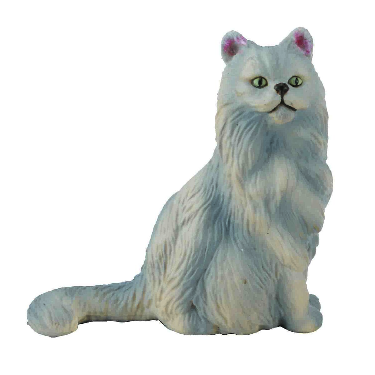Persian Cat Sitting