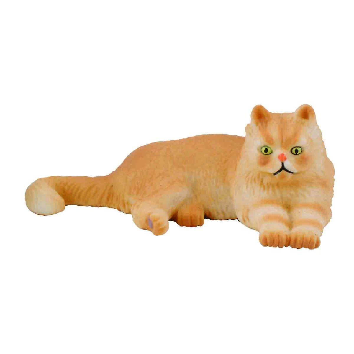 Persian Cat Lying