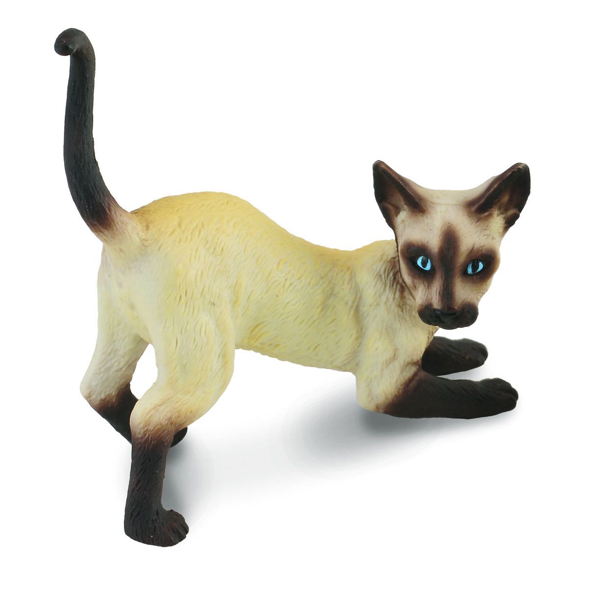 Siamese Cat Stretching