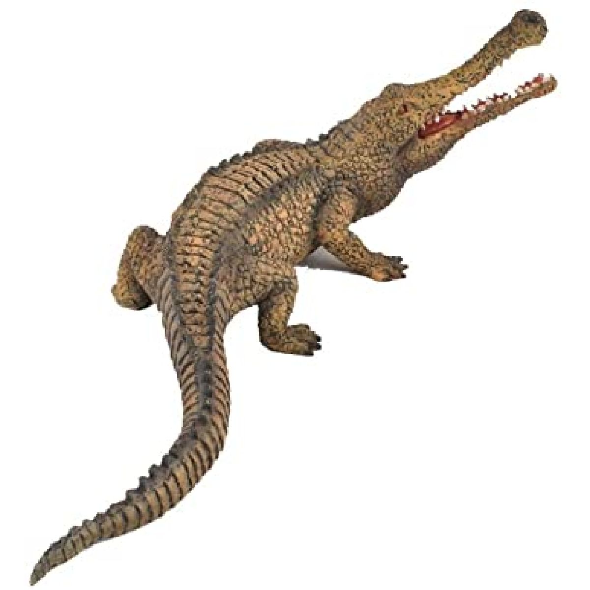 Sarcosuchus