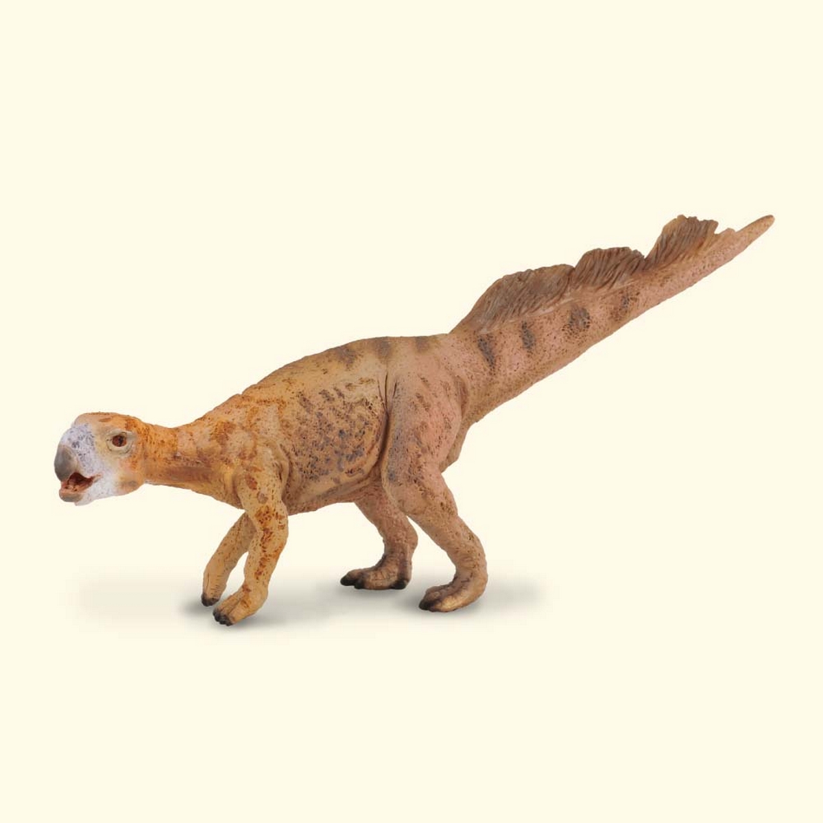 Psittacosaurus