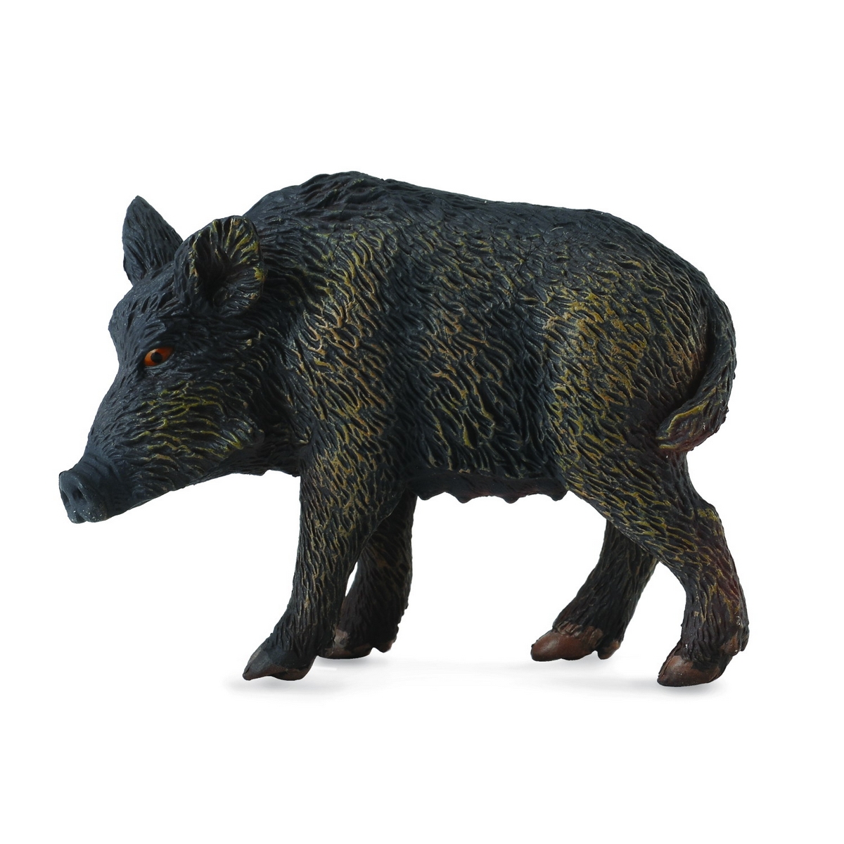 Scrofa Selvatica