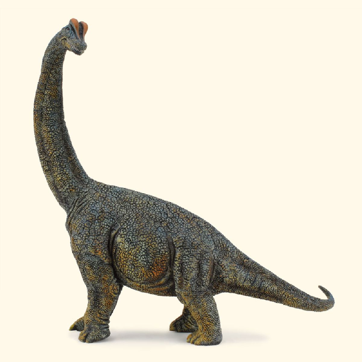 Brachiosaurus