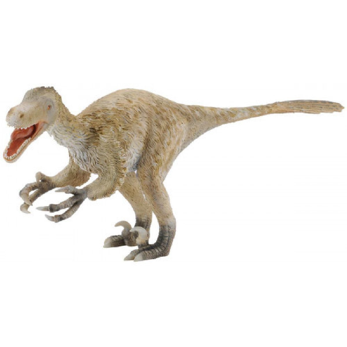 Velociraptor
